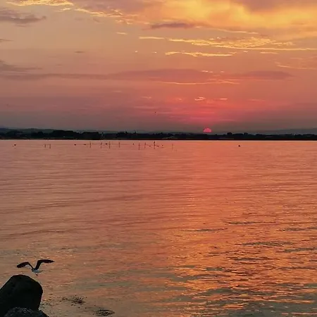 Affittacamere Guest Melsambria 4*