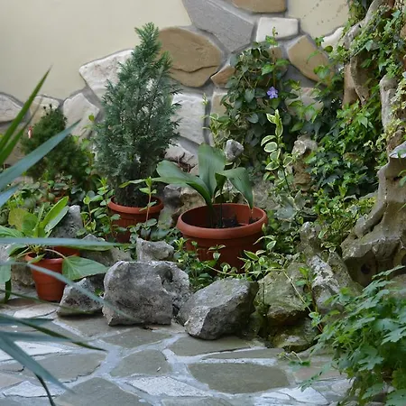 Affittacamere Guest Melsambria 4*