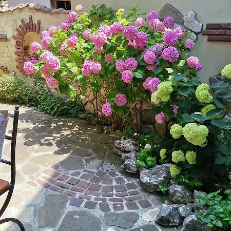 Pensionat Guest Melsambria 4*