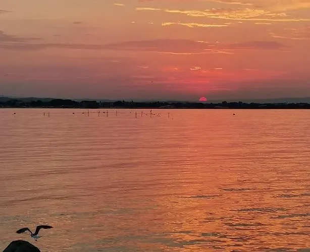 Penzion Guest Melsambria 4*