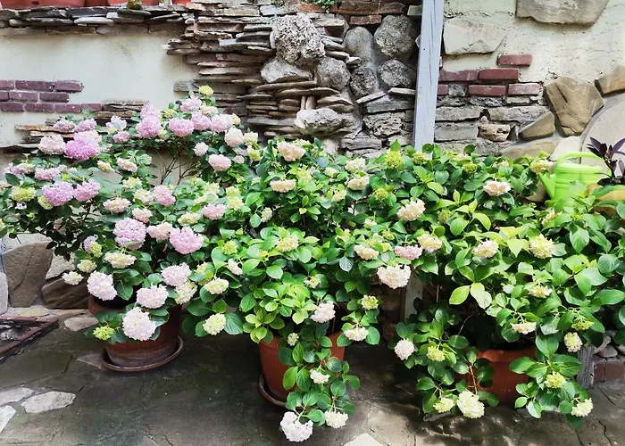 בית הארחה Guest Melsambria 4*